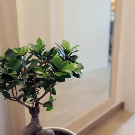 Frühstückspension Novantuno